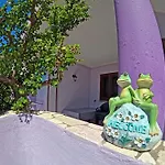 Casa Purple