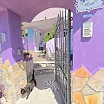 Casa Purple
