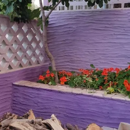 Casa Purple