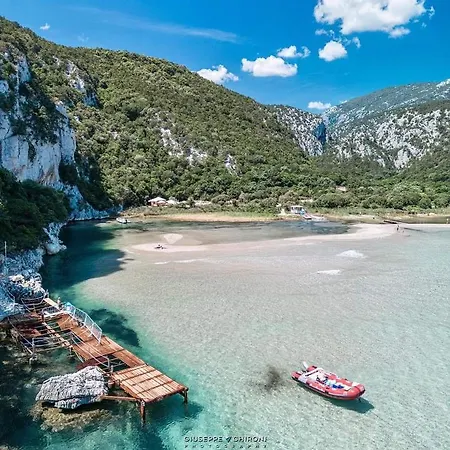 Casa Purple كالا غونوني