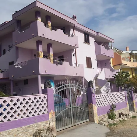 Casa Purple