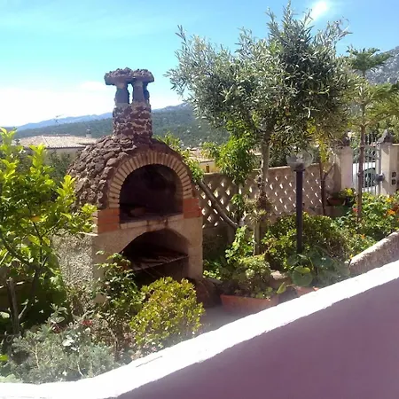 Casa Purple
