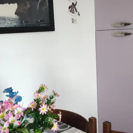 Casa Purple *