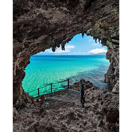 Casa Purple كالا غونوني