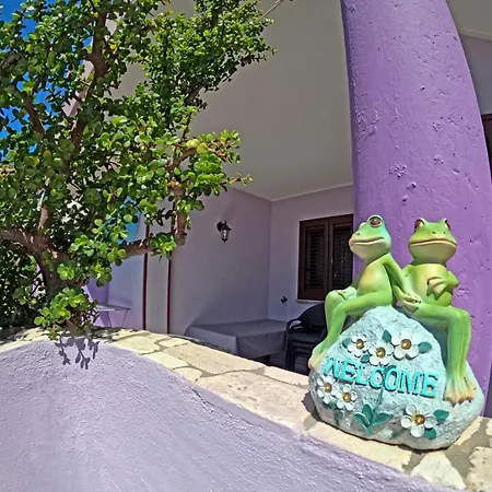 Casa Purple