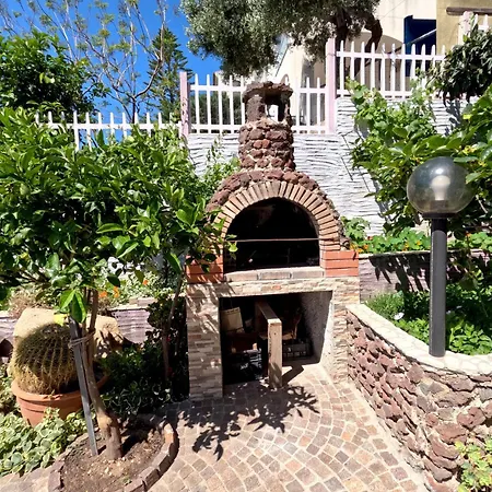 Casa Purple * كالا غونوني