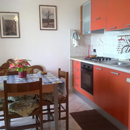 Casa Purple