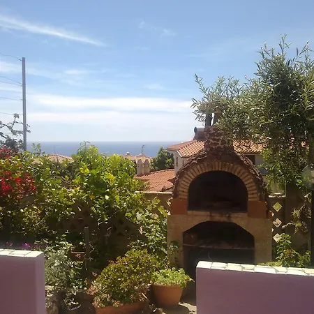 Casa Purple