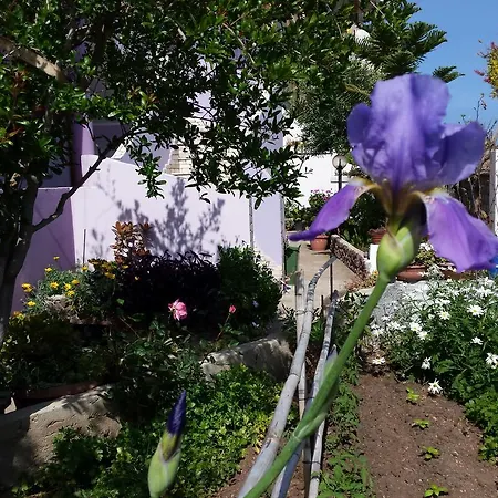 Apartment Casa Purple *