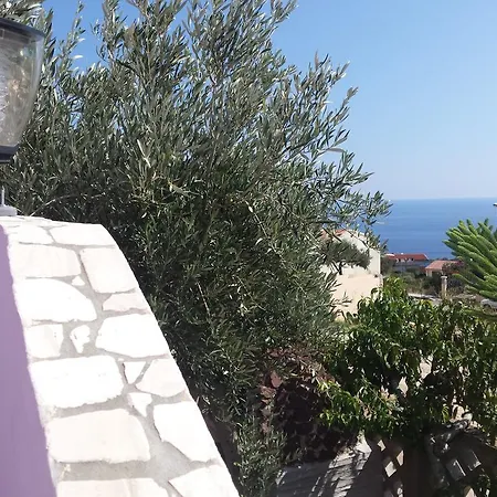 Apartment Casa Purple *