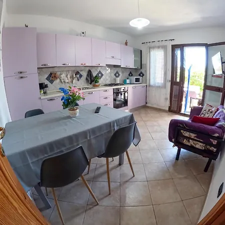 Casa Purple