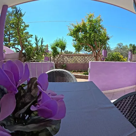 Casa Purple