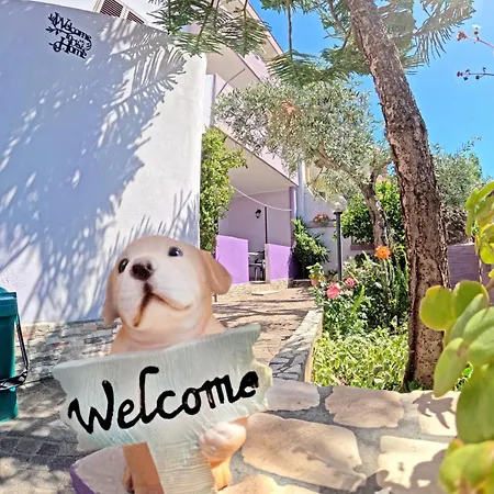 Casa Purple *
