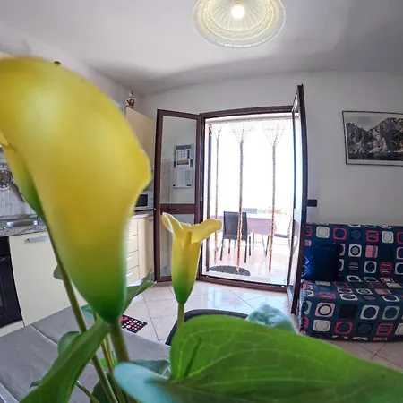Casa Purple