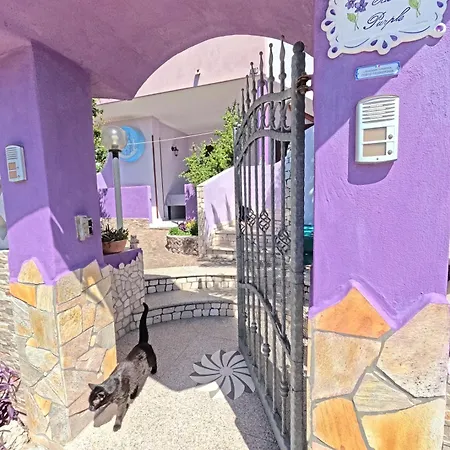 Casa Purple