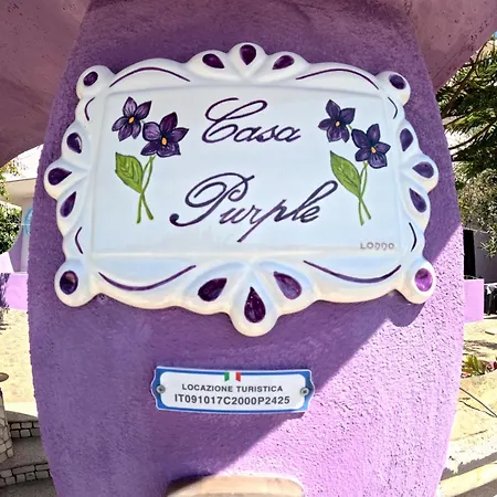 Casa Purple